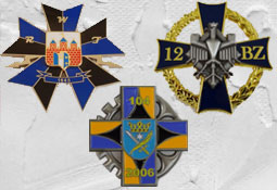 Odznaki wojskowe